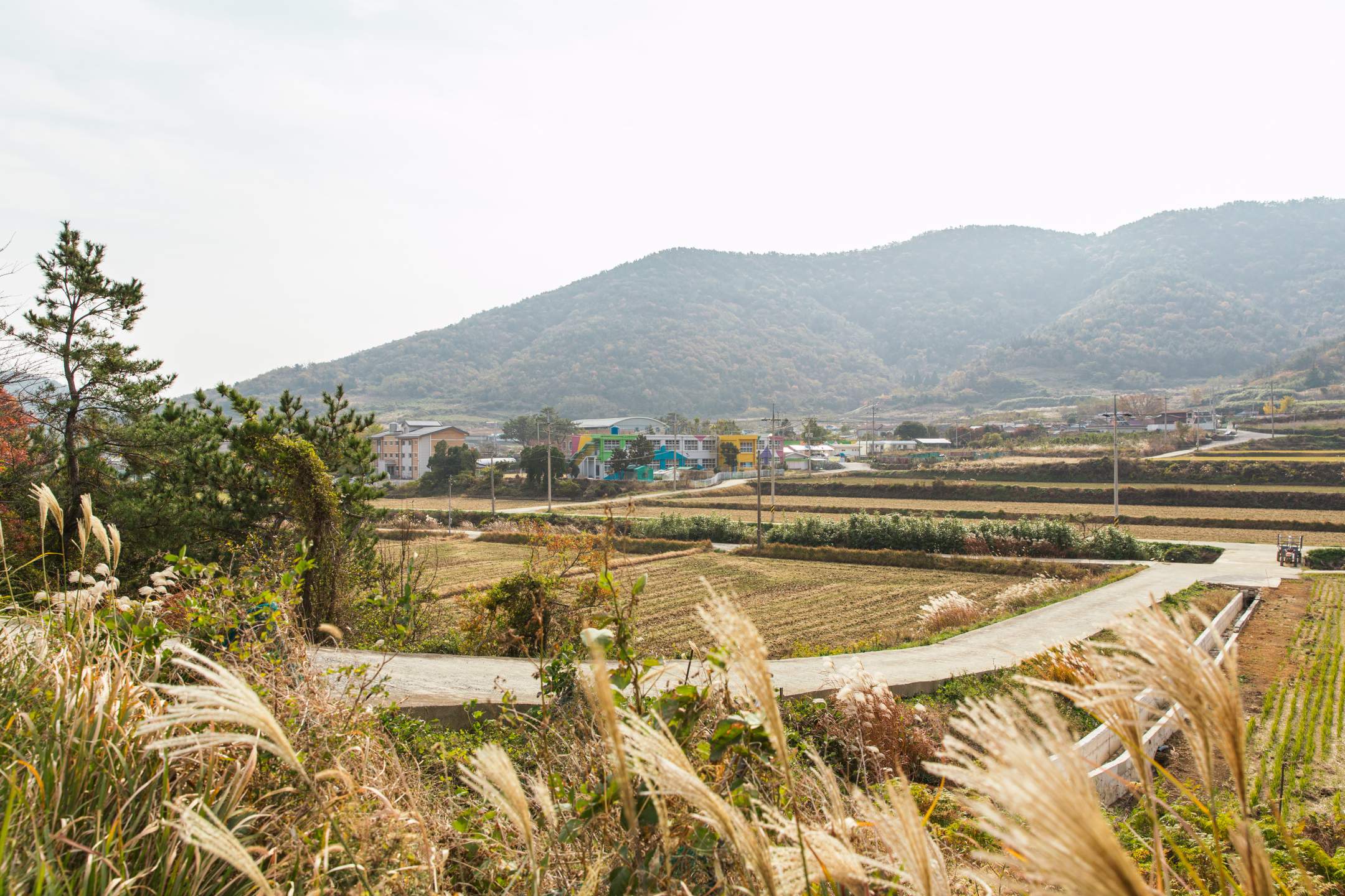 개도마을