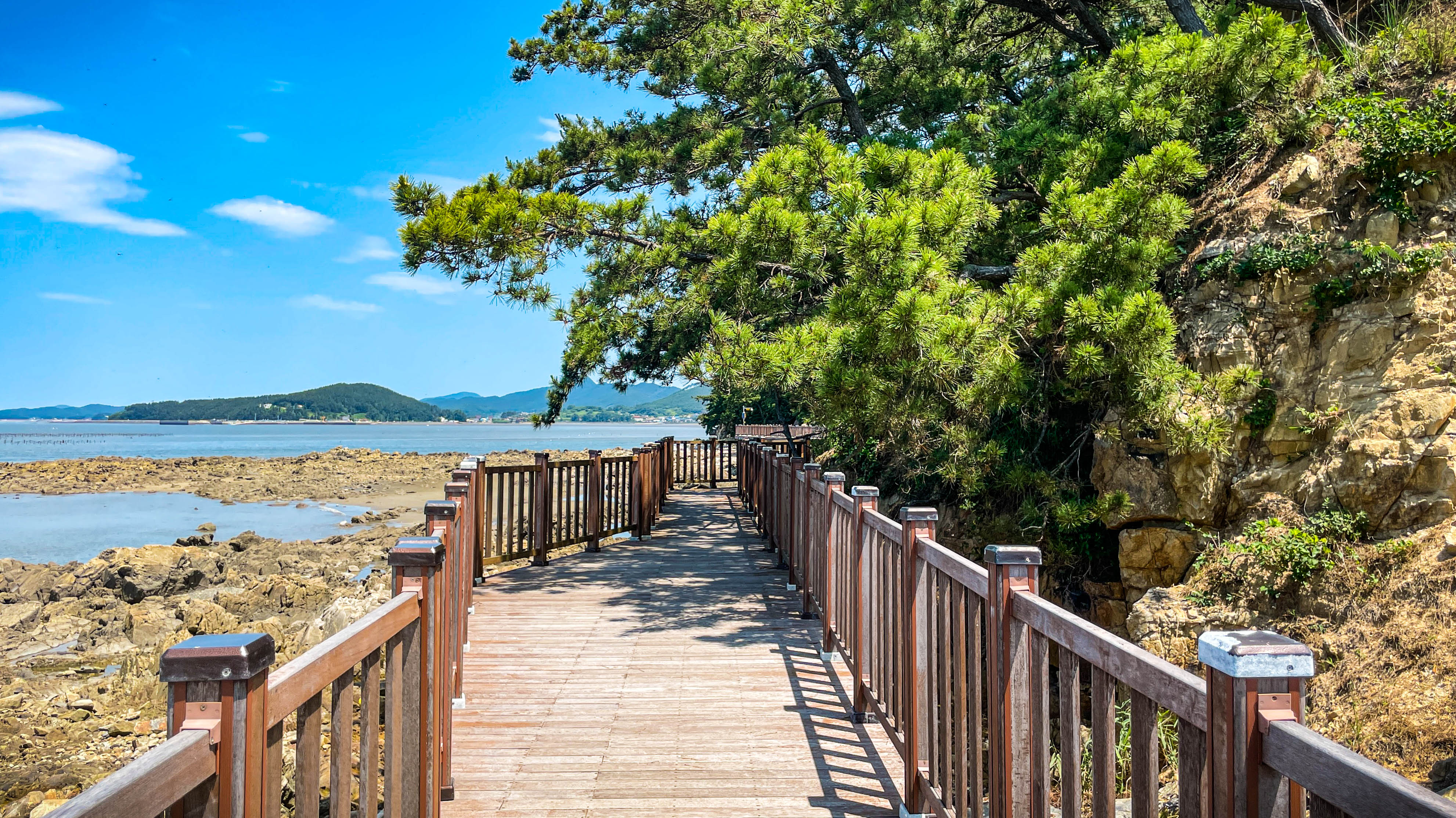 송석항전경_산책길
