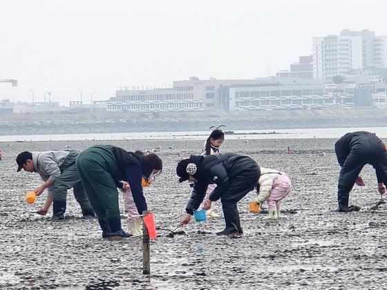 바람이 세게불던 봄날