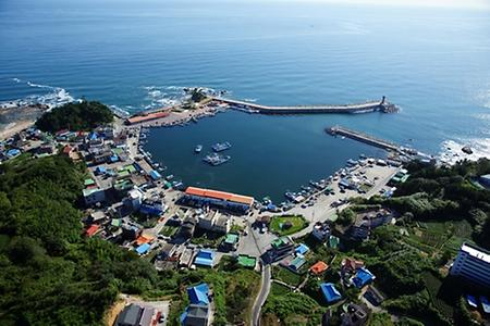 남애항