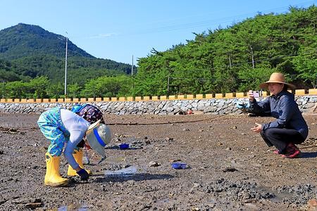 고등줍기체험