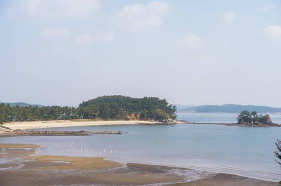 용신어촌체험휴양마을