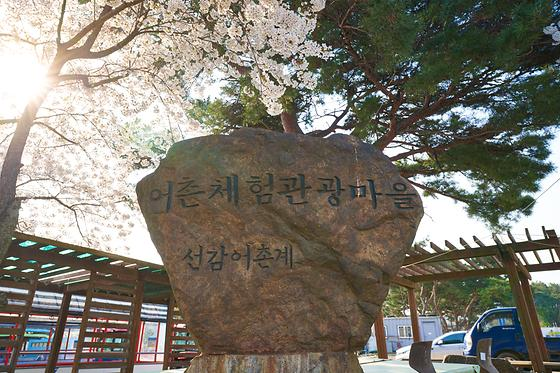 선감어촌체험휴양마을, 선감캠핑장