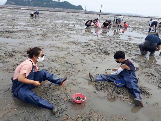 갯벌체험 재밌었어요