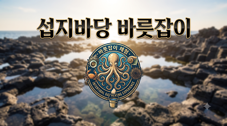 바릇잡이 체험
