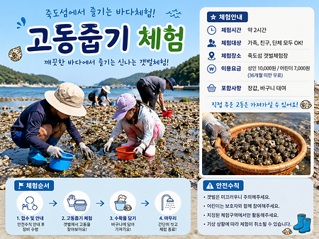 고동줍기 체험