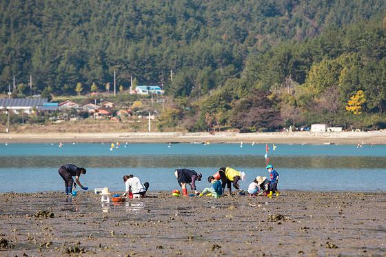 2020년 5월 체험사진입니다.