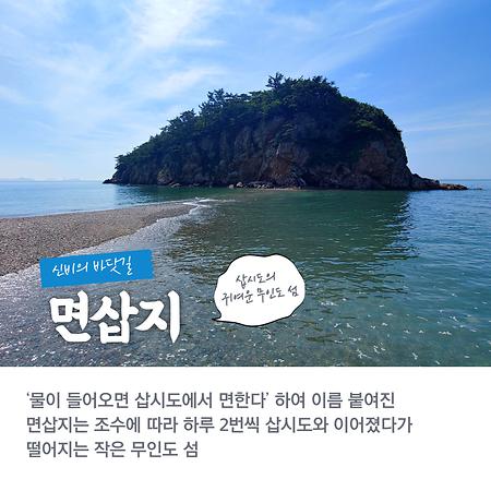 면삽지