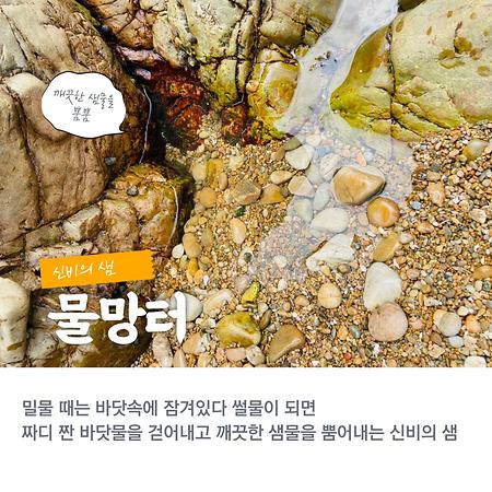 물망터