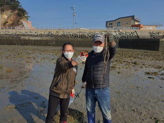 가을시즌 낙지잡이체험