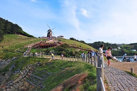 바람의 언덕 