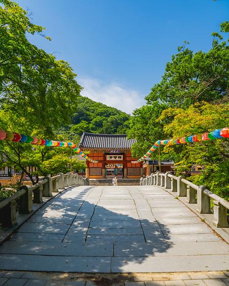 선운사