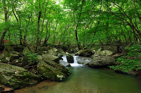 선운산 도립공원 