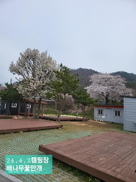 캠핑장 체험
