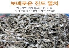 진도 멸치
