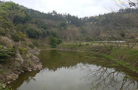 삼벌초 궁녀 둥벙
