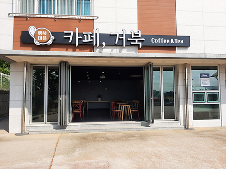 거북이행복마을 카페, 거북 
