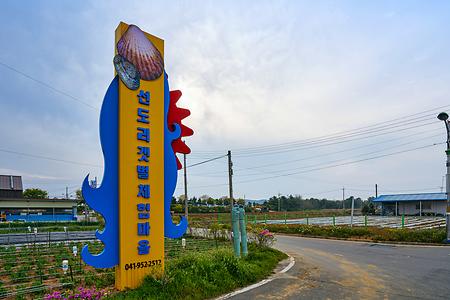 선도리어촌체험마을