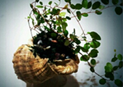 화분소라만들기