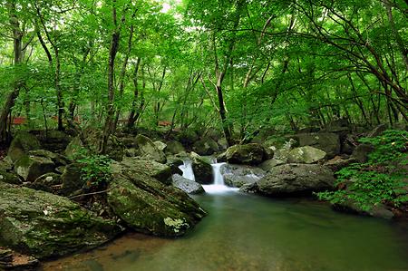 선운산 도립공원