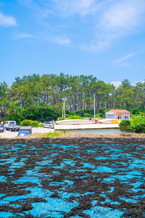 관매마을의 한적한 풍경이 좋습니다. 