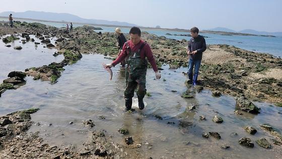 숭어잡기 독살체험 최고예요