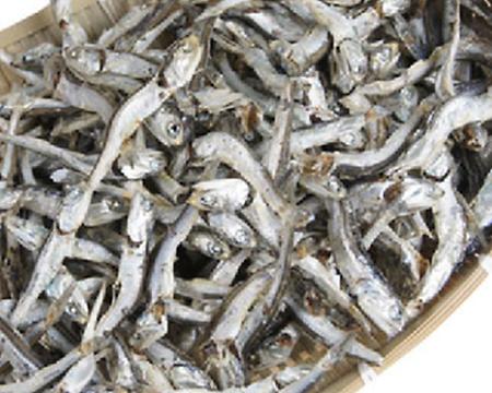 영양 만점 고급 간식! 전도 멸치!