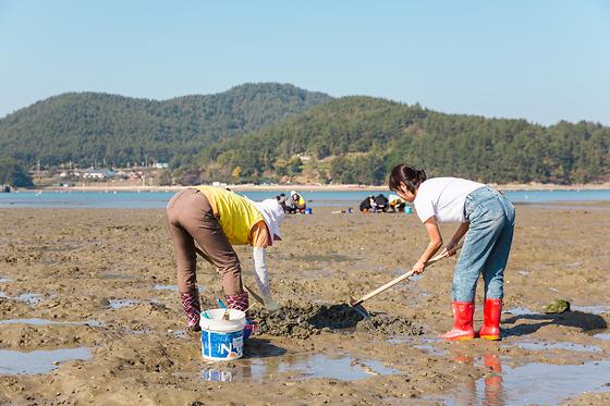 즐거운 겟벌체험!!