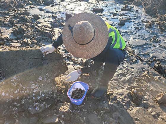 신나는 갯벌체험