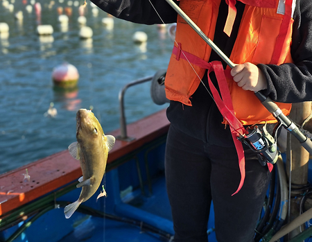 🎣 선상낚시 체험