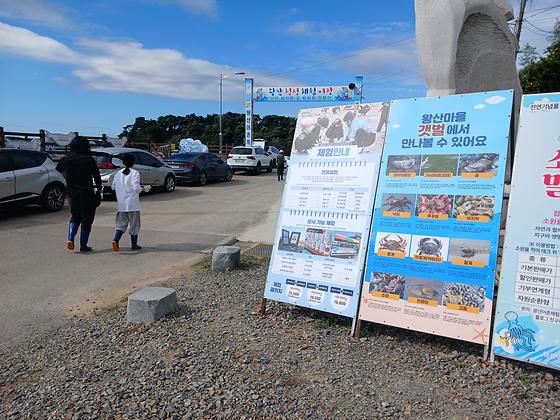 “갯벌에서 낙지도 잡고! 서산 왕산어촌체험마을 가족 체험 후기🐙”