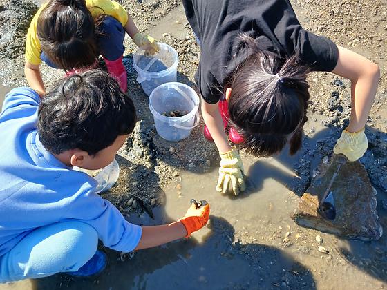가을 갯벌에서 즐긴 박하지 잡기! 왕산어촌체험마을에서의 소중한 하루🌿
