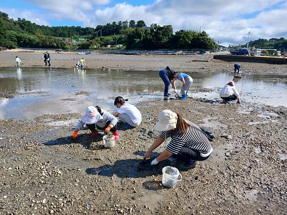 🐚 [서산 왕산어촌체험마을] 갯벌에서 즐기는 바지락 캐기 체험 후기🌊
