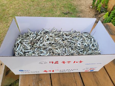 통영 욕지도 건멸치