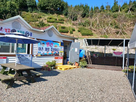 🌊 가로림만이 품은 고요한 갯벌, 서산 왕산어촌체험마을 여행기