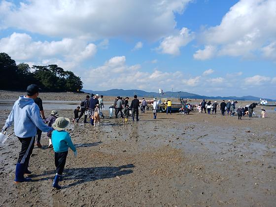 👨‍👧‍👦 아빠와 함께한 특별한 갯벌 체험! 🌊