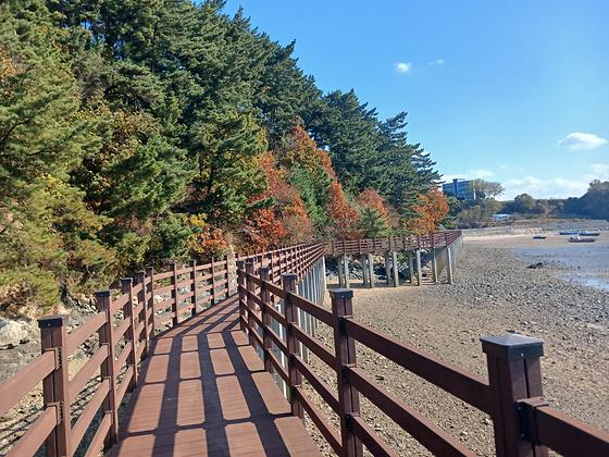 🌾 가을이 깊어가는 왕산어촌마을에서의 힐링 산책