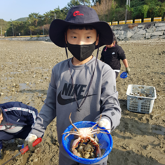 갯벌체험 