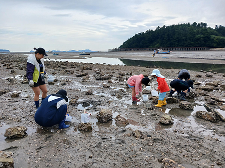 갯벌체험하는 모습