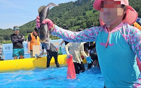🐟 맨손 물고기 잡기 체험