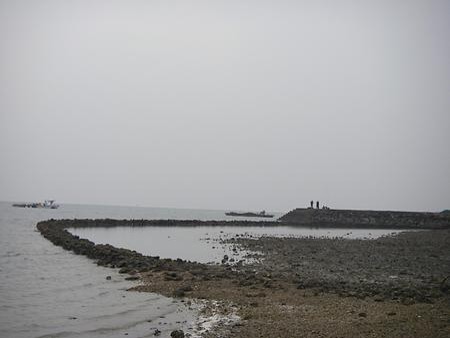 석방렴(돌발) 관람