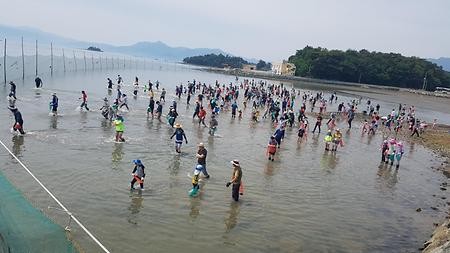 (개막이)맨손 고기잡이체험 
