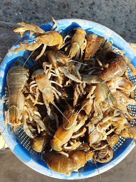 맛있는 쏙!!