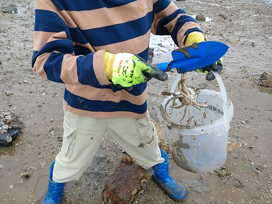 🦀 서산 왕산어촌체험마을 가족과 함께하는 신나는 갯벌체험 🌊