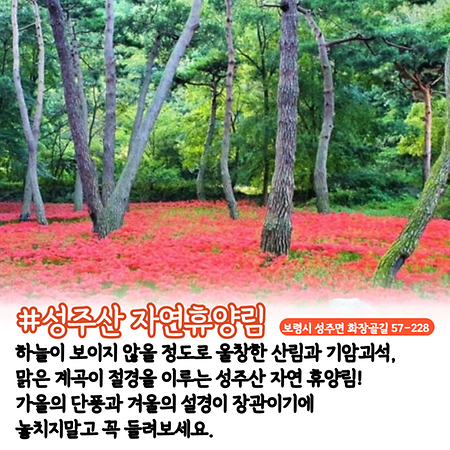 군헌과 가까운 거리에 있는 관광지 ⑤성주산 자연휴양림