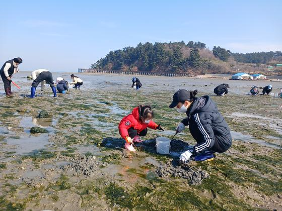 서산 아이와 가볼만한곳 👍 왕산마을 갯벌체험 바지락 한가득 후기!