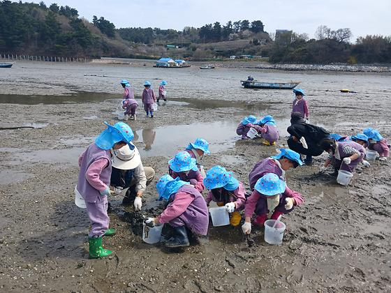 아이들과 가기 좋은 서산 갯벌체험｜바지락 캐고 칼국수까지 먹는 하루