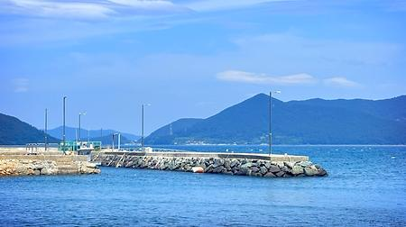 🎣 죽도 방파제 낚시 - ✨ 연말까지 무료체험! ✨