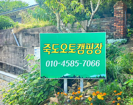 죽도 오토 캠핑장