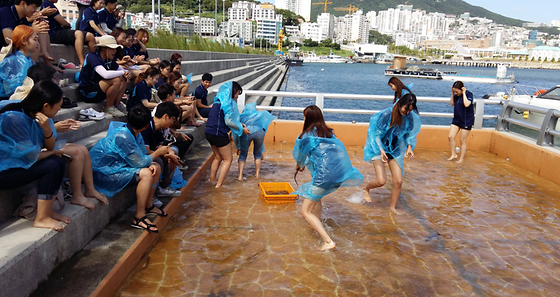 맨손 장어잡이!